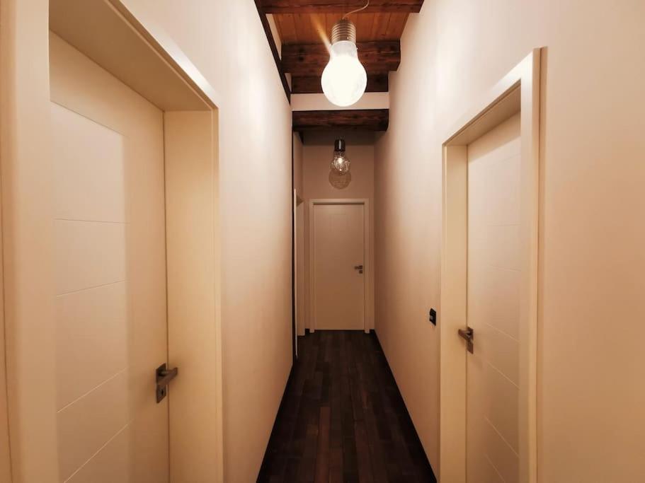 Komfortables Apartment Im Zentrum Erfurts エクステリア 写真