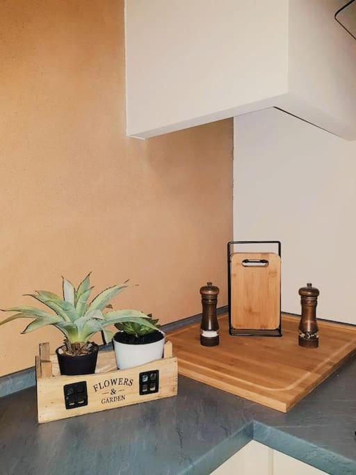Komfortables Apartment Im Zentrum Erfurts エクステリア 写真