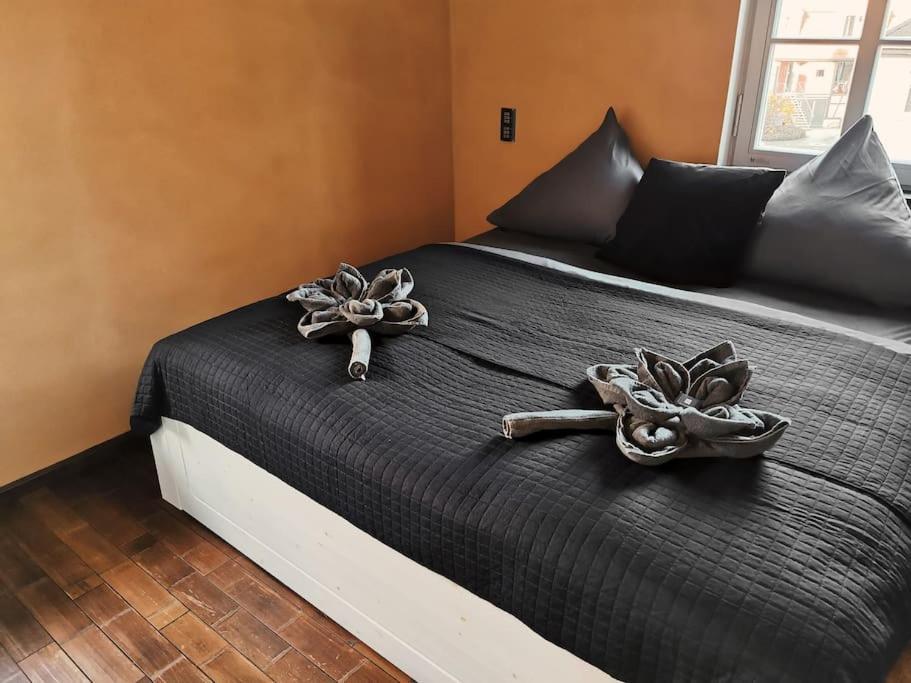 Komfortables Apartment Im Zentrum Erfurts エクステリア 写真