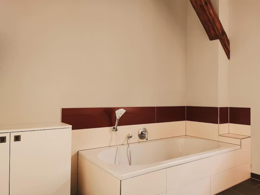 Komfortables Apartment Im Zentrum Erfurts エクステリア 写真