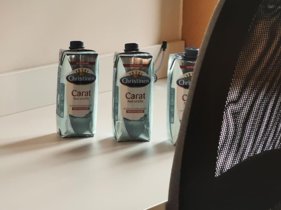 Komfortables Apartment Im Zentrum Erfurts エクステリア 写真