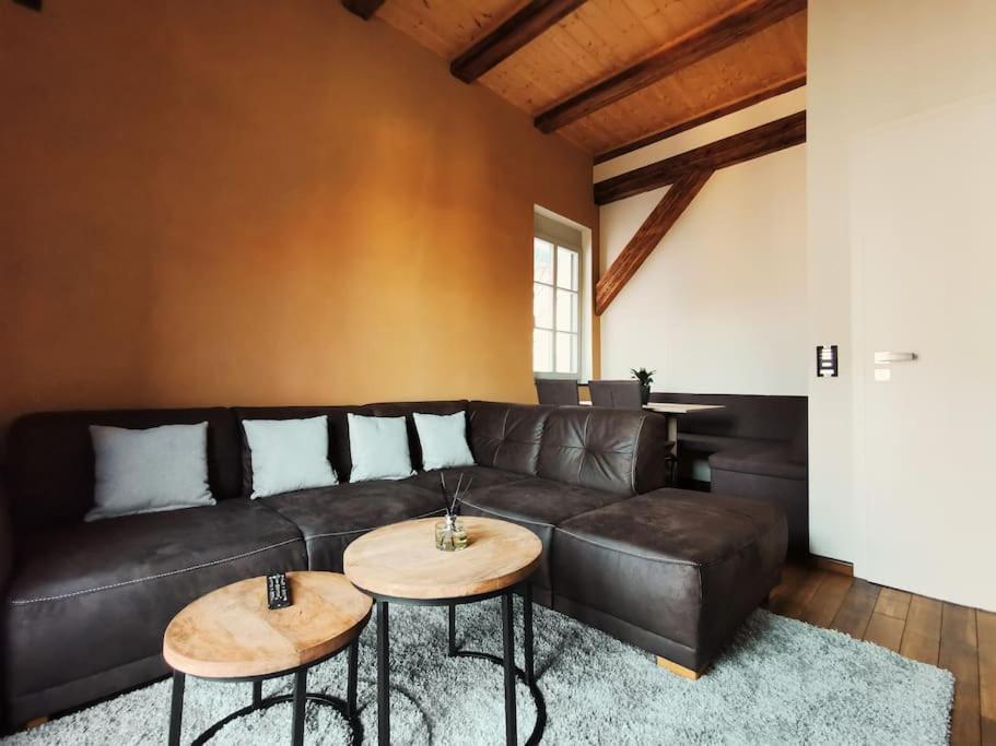 Komfortables Apartment Im Zentrum Erfurts エクステリア 写真